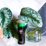 107096509_3050869608282869_6027731437150442308_n