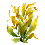 AdobeStock_1710919459