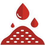 blood_meal