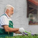 eldery-male-gardener-cutting-overgrown-bushes-P52QQKA.jpg