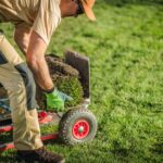 gardener-piles-rolls-of-sod-on-dolly-cart-SRND4CA.jpg