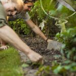happy-couple-gardening-together-in-garden-QUXPKYG.jpg