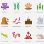 mobile_ingredients