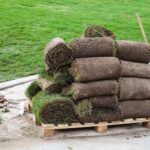 pieces-of-turf-on-a-wooden-pallet-near-green-lawn-PKNQQ7Q.jpg