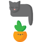 plant-catnip