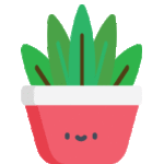 plant-fern