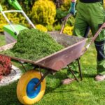 removing-freshly-mown-grass-CC4JH49.jpg