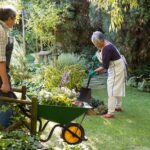 senior-couple-gardening-in-the-garden-L4XMKMK.jpg