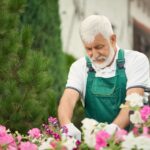 senior-gardener-pruning-flowers-on-backyard-SF5U52J.jpg