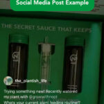 social-media-post